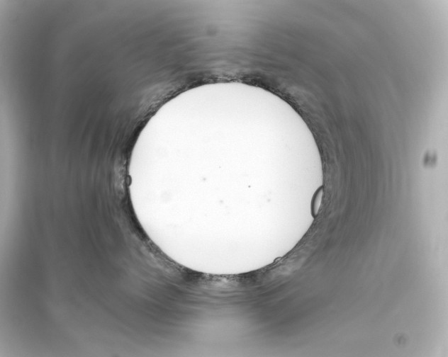 X0000093610768200711121212