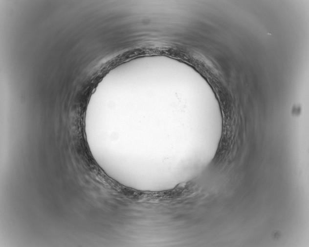 X0000093610773200711121211