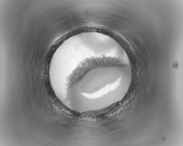 X0000093610775200711121211
