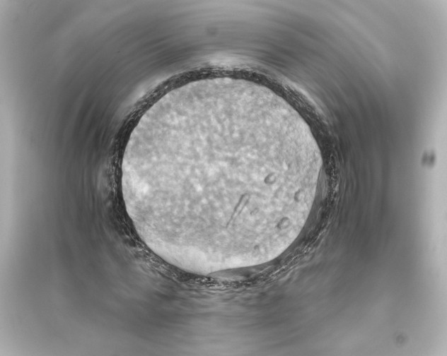 X0000093610776200711121211