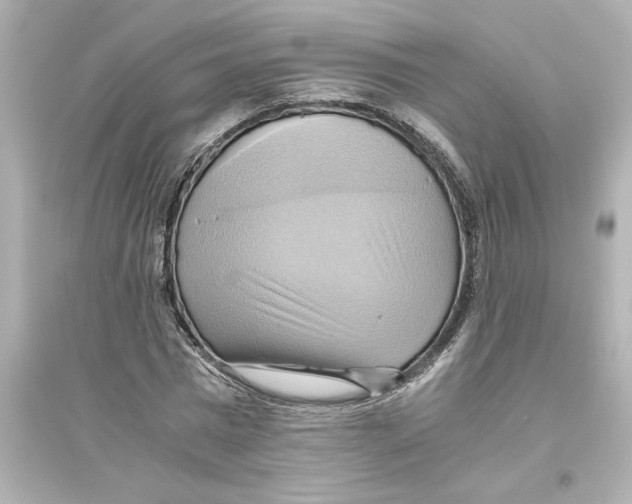 X0000093610777200711121211