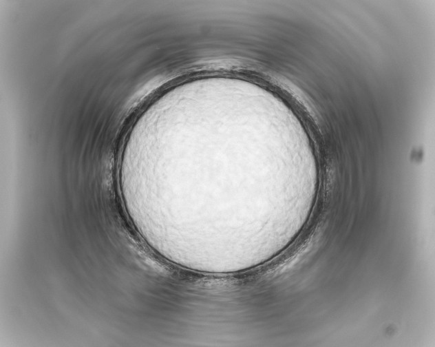 X0000093610778200711121211