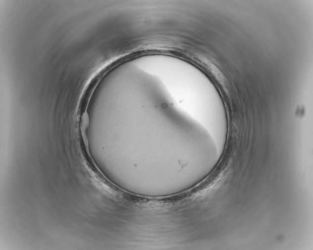 X0000093610779200711121211