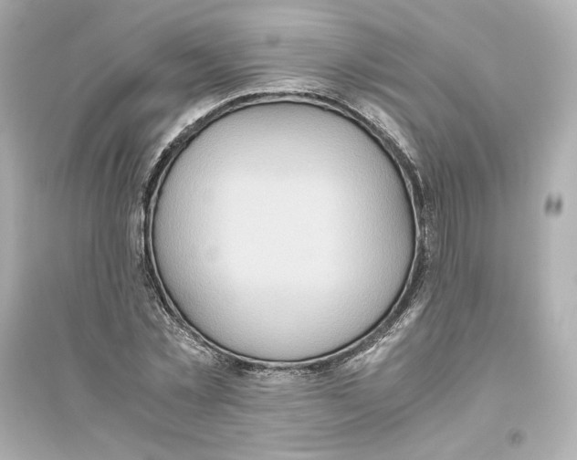 X0000093610781200711121211