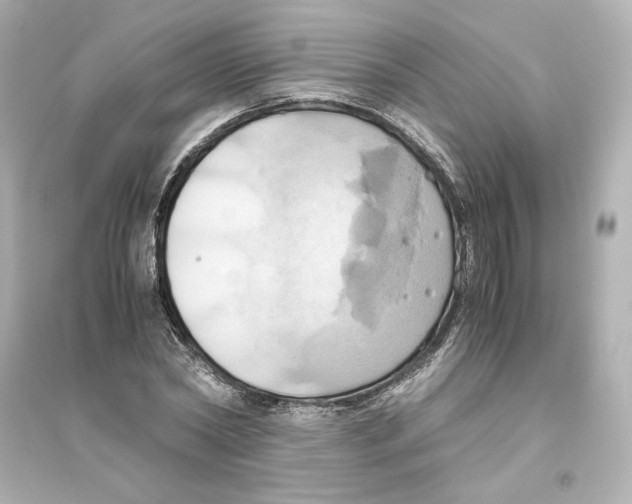 X0000093610782200711121211