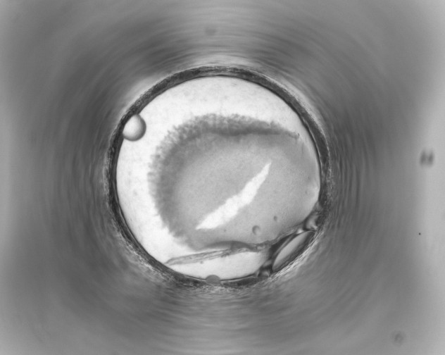 X0000093610783200711121211