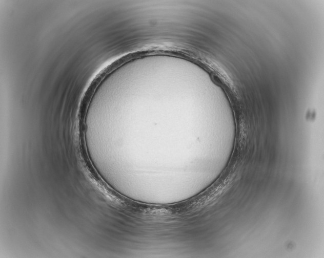 X0000093610784200711121211