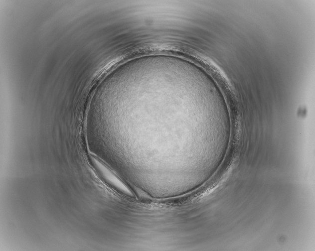 X0000093610785200711121211