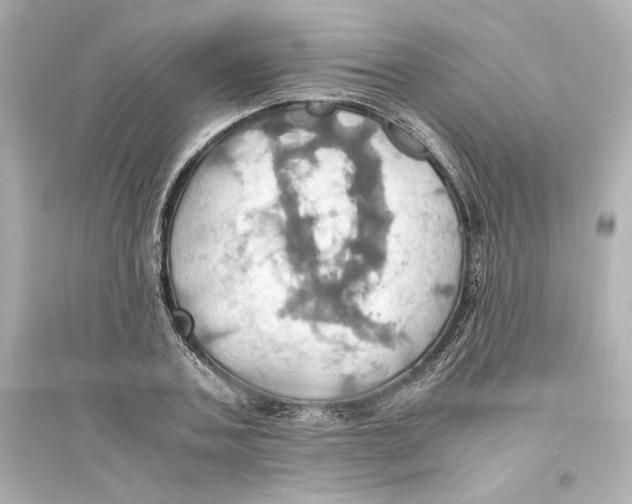 X0000093610787200711121211