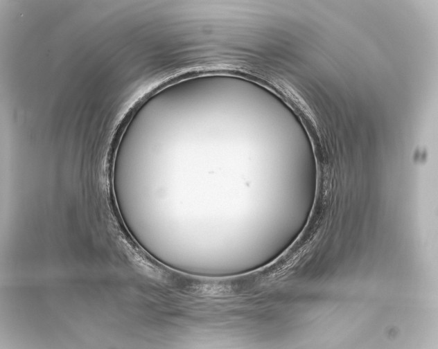 X0000093610789200711121211