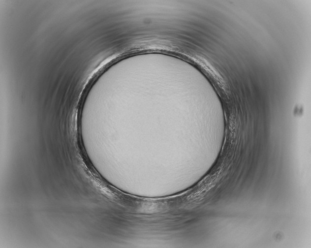 X0000093610790200711121211