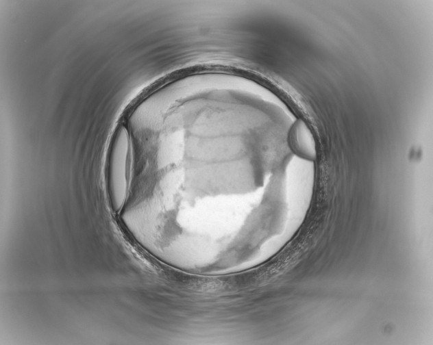 X0000093610791200711121211