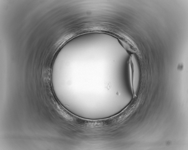 X0000093610793200711121211