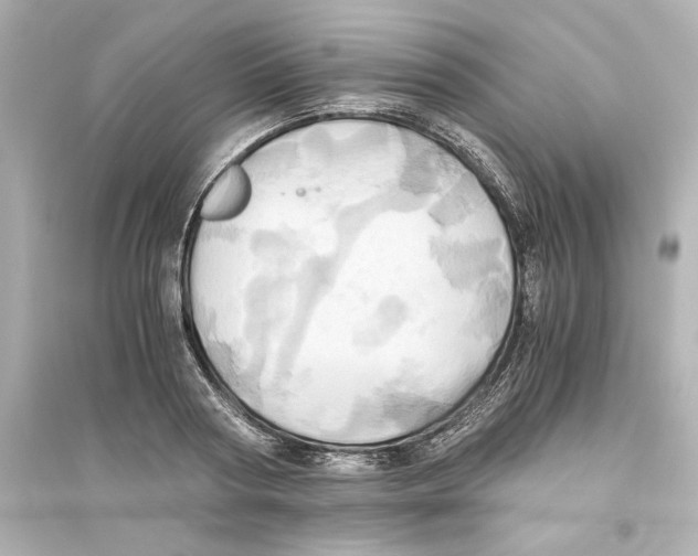 X0000093610794200711121211