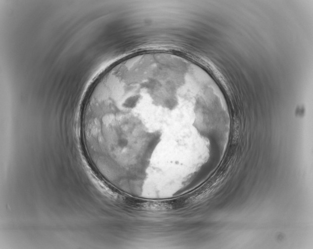 X0000093610795200711121211