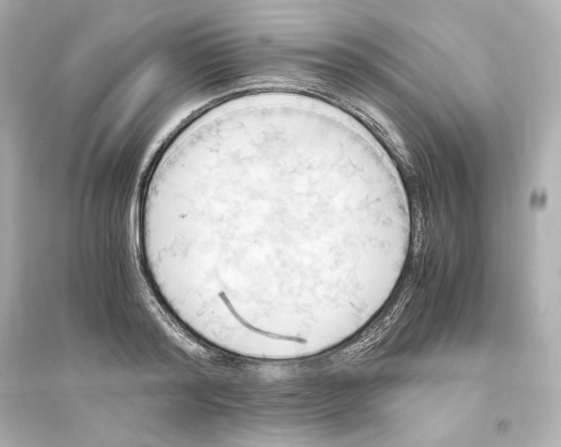 X0000093610796200711121211