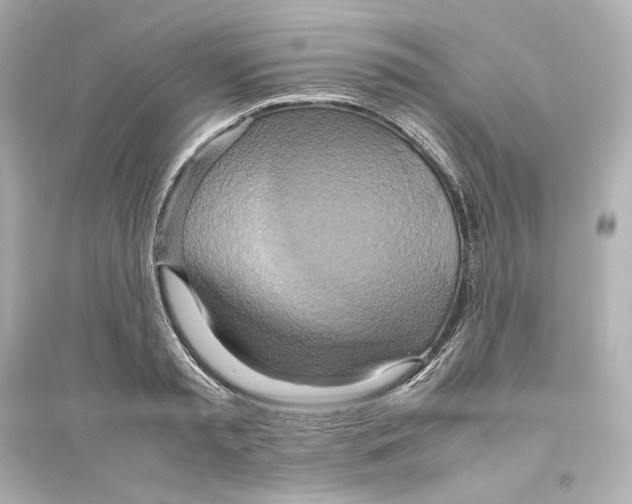 X0000093610797200711121211