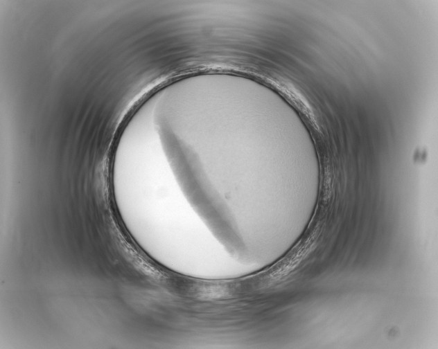 X0000093610798200711121211