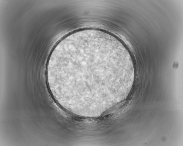 X0000093610799200711121211