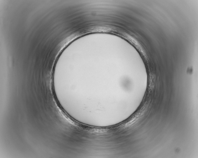 X0000093610802200711121211