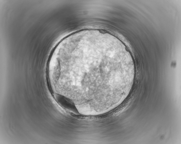 X0000093610803200711121211
