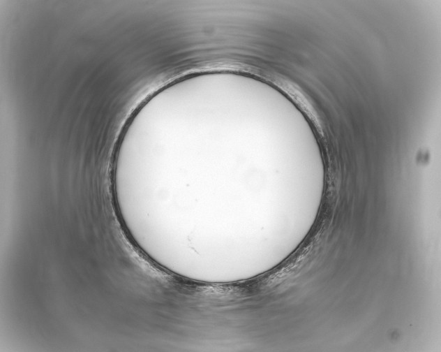 X0000093610805200711121211
