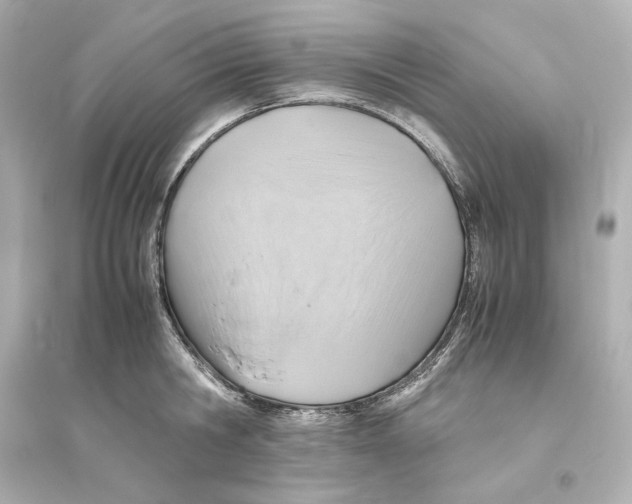 X0000093610806200711121211