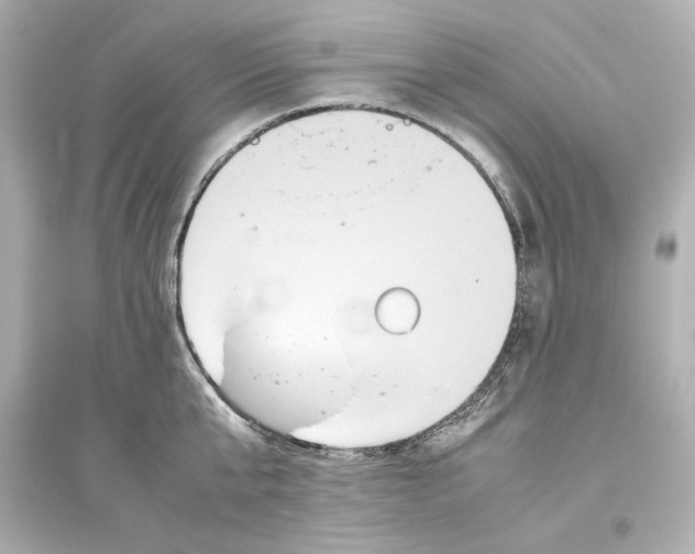 X0000093610807200711121211