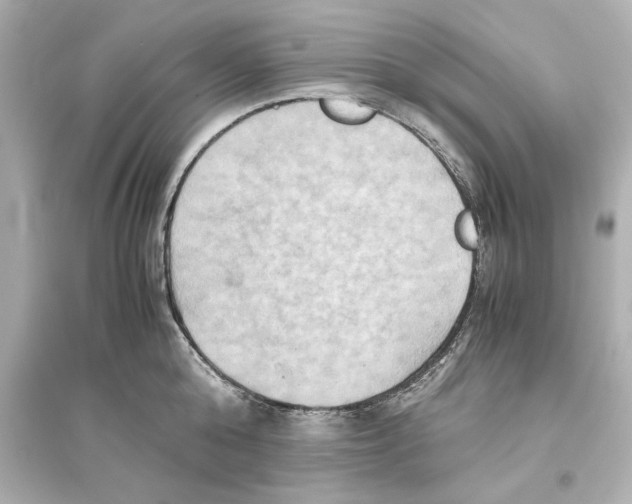 X0000093610808200711121211