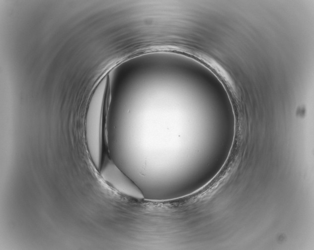 X0000093610809200711121211