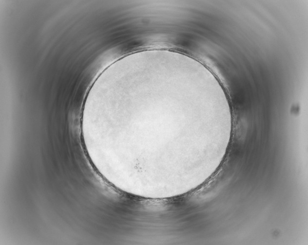 X0000093610810200711121211