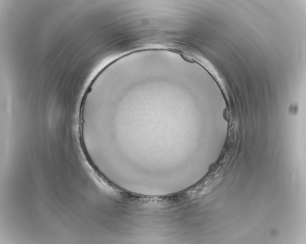 X0000093610811200711121211