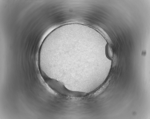 X0000093610812200711121211
