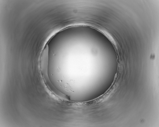 X0000093610813200711121211