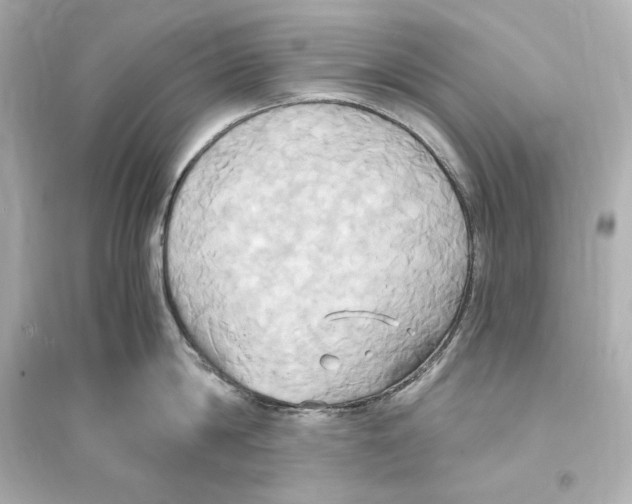 X0000093610814200711121211