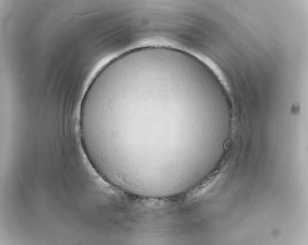 X0000093610815200711121211