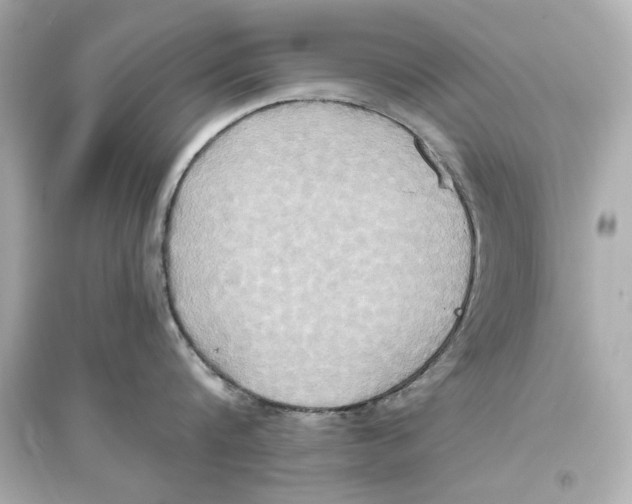 X0000093610816200711121211