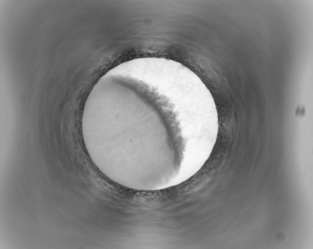 X0000093610817200711121210