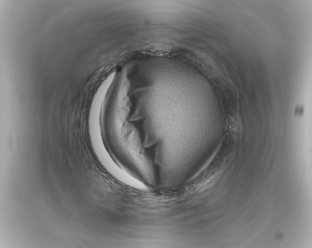 X0000093610818200711121210