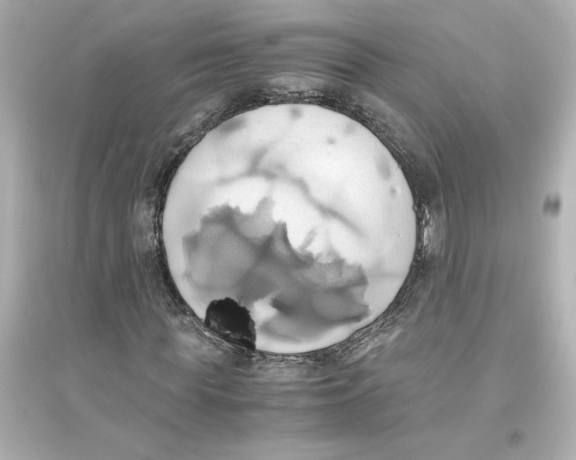 X0000093610819200711121210