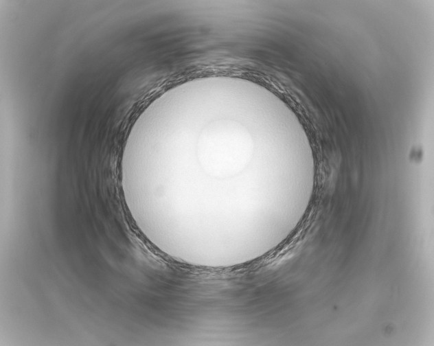 X0000093610820200711121210