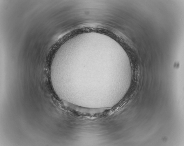 X0000093610822200711121210