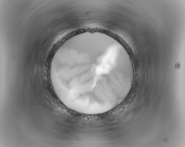 X0000093610823200711121210