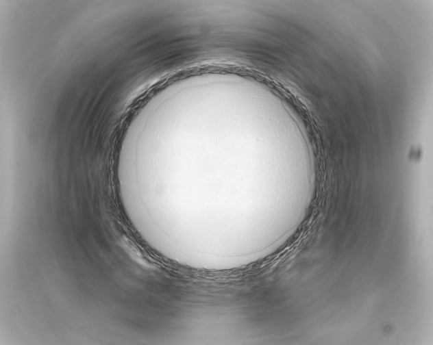 X0000093610824200711121210