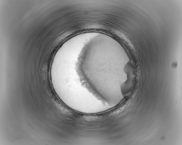 X0000093610825200711121210