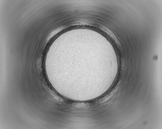 X0000093610826200711121210