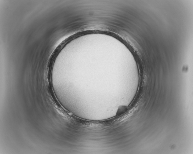 X0000093610830200711121210