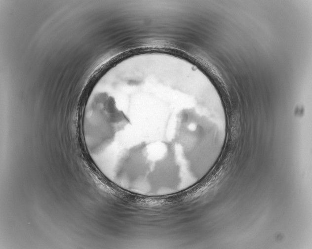X0000093610831200711121210