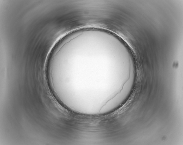 X0000093610832200711121210