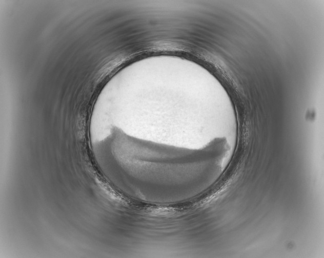 X0000093610833200711121210